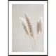 Poster Gallerix Boho Dried In Nature No6