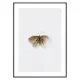 Poster Gallerix Watercolor Butterfly