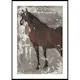 Poster Gallerix Štúdia koňa By Jozef Hanula