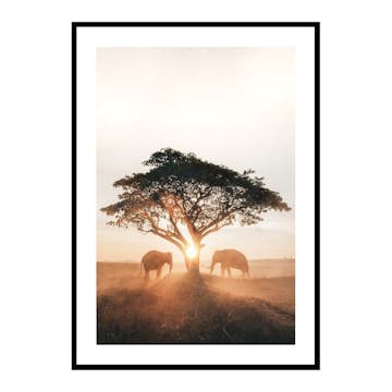 Poster Gallerix Elephants At Sunrise