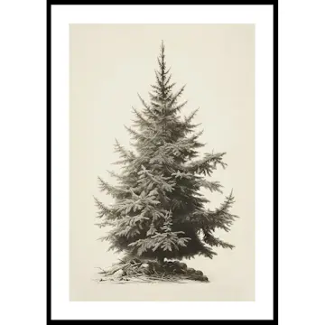 Poster Gallerix Vintage Fir Tree