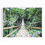 Canvastavlor Art for the Home Djungelgång Flerfärgad 75x100 cm