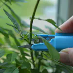 Sekatör Omnia Garden Mini Snip It Blandade Färger