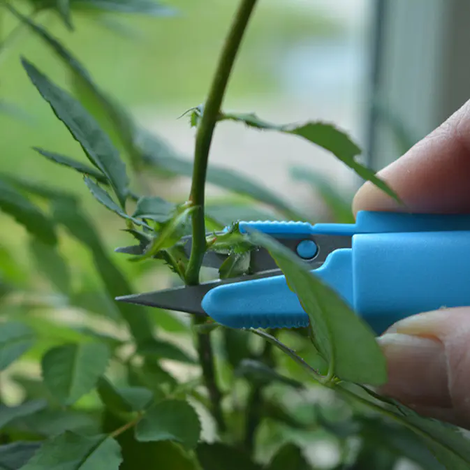 Sekatör Omnia Garden Mini Snip It Blandade Färger