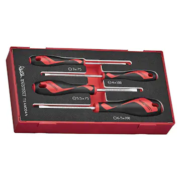 Skruvmejselsats Teng Tools 4-Delar TEAMD04N
