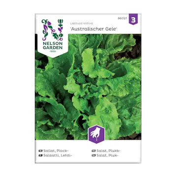 Frö Plocksallat Nelson Garden Australische Gele