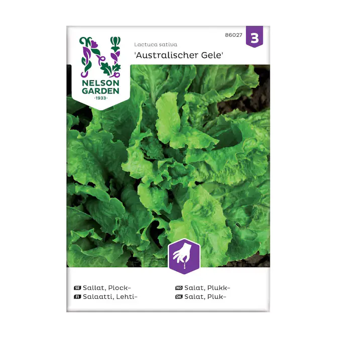 Frö Plocksallat Nelson Garden Australische Gele