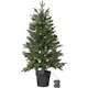 Julgran Star Trading Byske Plastgran 90 cm med LED 50 Ljus