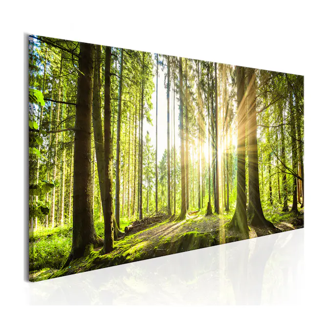 Tavla Arkiio Daylight