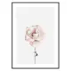 Poster Gallerix Pink Rose No1
