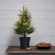 Dekorationsgran Star Trading Thuja Konstgjord Julgran med LED-belysning