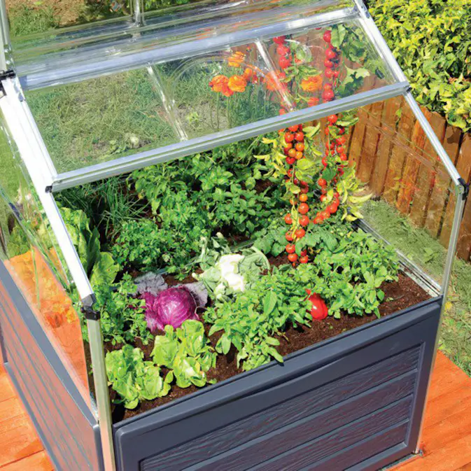 Miniväxthus Canopia by Palram Plant In 1,3 kvm