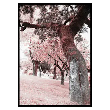 Poster Gallerix Pink Trees No2