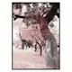 Poster Gallerix Pink Trees No2