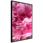 Poster Artgeist Affisch Beautiful Peonies