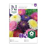 Frö Aster Nelson Garden Princess Mix