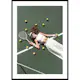 Poster Gallerix On The Tennis Court