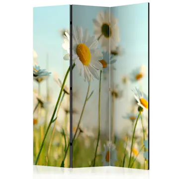 Rumsavdelare Skärmvägg Arkiio Daisies Spring Meadow 135x172 cm