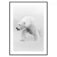 Poster Gallerix Faded Polar Bear