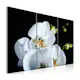 Tavla Arkiio Snöig Orkidé