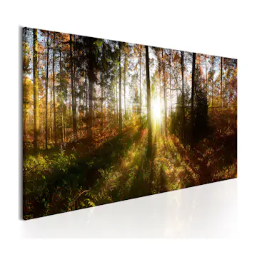 Tavla Arkiio Beautiful Forest