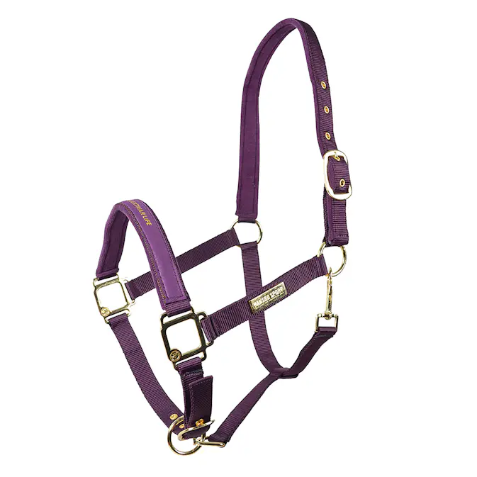 Grimma HANSBO SPORT The Equestrian Life Ponny