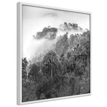 Poster Artgeist Affisch Rainforest