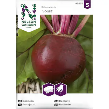 Frö Nelson Garden Rödbeta Solist Såband