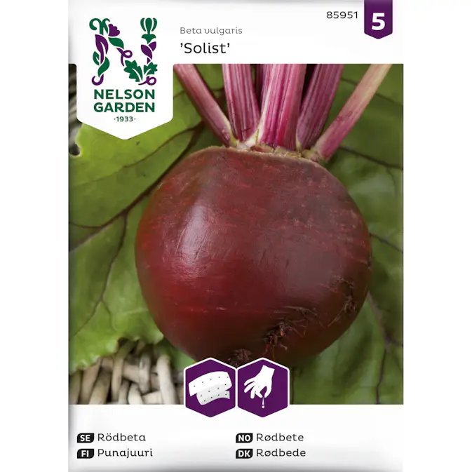 Frö Nelson Garden Rödbeta Solist Såband