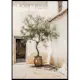 Poster Gallerix Olive Tree Mediterranean Setting No2