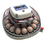 Äggkläckare Willab med Inbyggd Ägglampa
