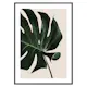 Poster Gallerix Monstera Two