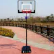 Basketställning Trekkrunner Alley-Oop med Hjul & Justerbar Basketkorg 1,55-2,10m