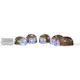 Dekorationsslinga Star Trading Crystalo Igelkott x5
