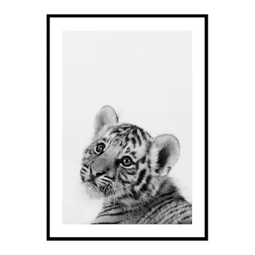 Poster Gallerix Tiger Cub