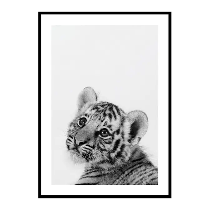 Poster Gallerix Tiger Cub