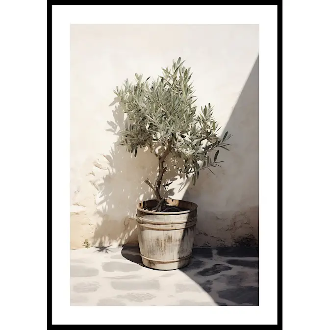 Poster Gallerix Olive Tree Mediterranean No2