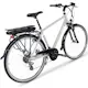 Elcykel Lyfco Herr 28" - Elian 13 Ah Silver
