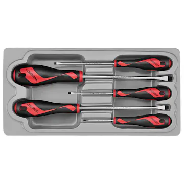 Skruvmejselsats Teng Tools MD906N5 5-delar