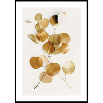 Poster Gallerix Eucalyptus Gold No4