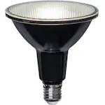 LED-lampa Star Trading E27 PAR38 Spotlight Outdoor Svart 13W