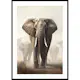 Poster Gallerix Elephant Matriarch