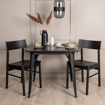 Matgrupp Venture Home Tempe med 2 Montros Stolar