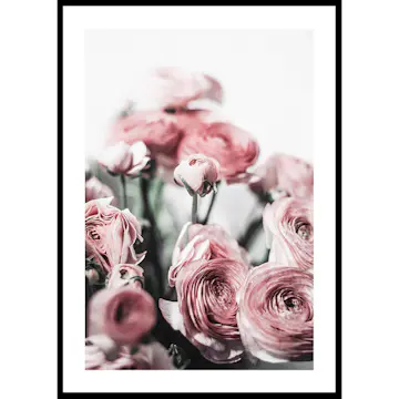 Poster Gallerix Pink Roses