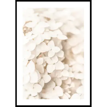 Poster Gallerix Boho Flowers No3