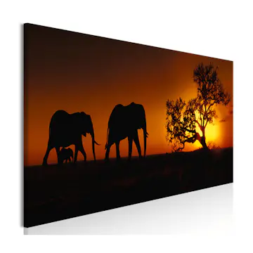 Tavla Arkiio Elephant Family