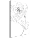 Tavla Arkiio Spring Sketch