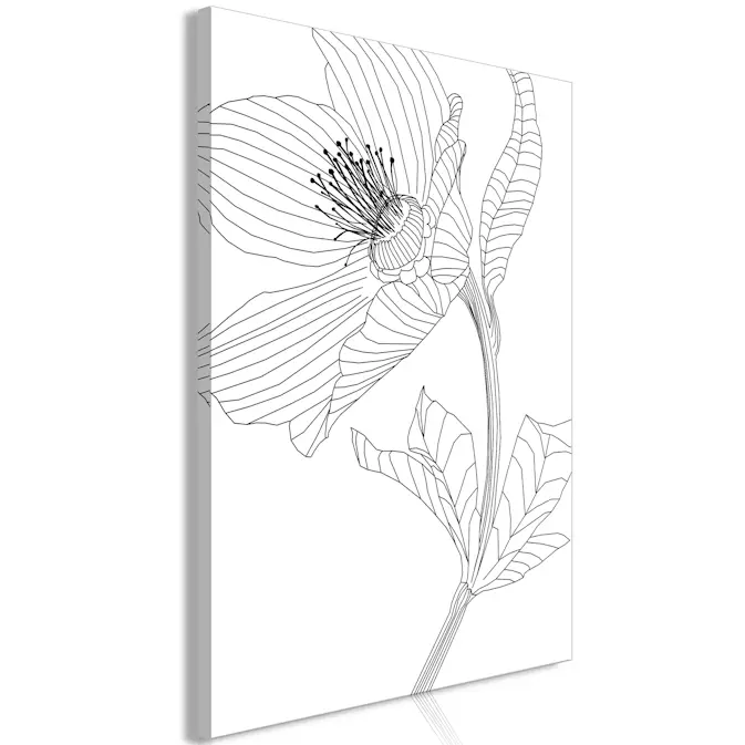 Tavla Arkiio Spring Sketch