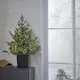 Bordsdekoration Star Trading GranGreyland95 cm 80Lb