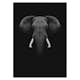 Poster Gallerix Black Elephant